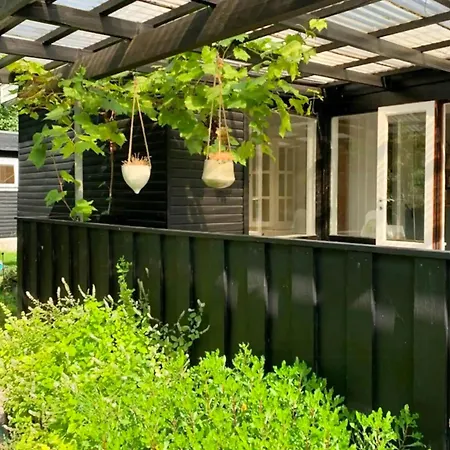 Extend The Snug Summer Evenings In The Orangery *