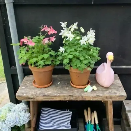 Extend The Snug Summer Evenings In The Orangery 度假居 Melby